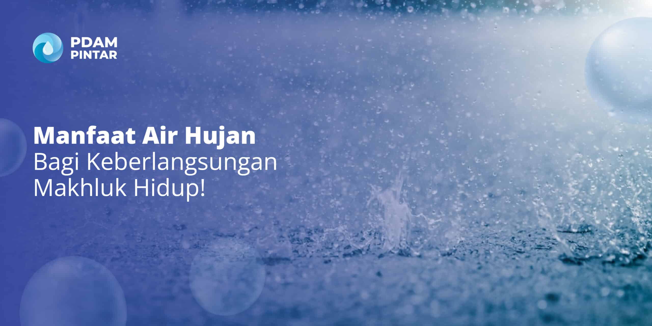 5 Manfaat Air Hujan yang Sangat Penting Bagi Makhluk Bumi!